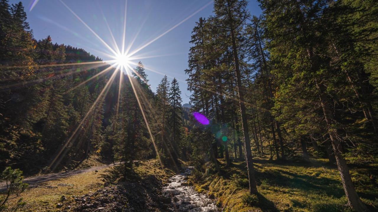 Hotel Garni Isarlodge Wiesenhof Шарніц Екстер'єр фото